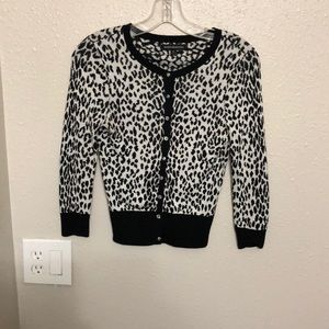 Express sweater